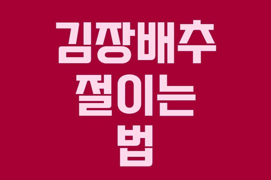 김장배추 절이는 법