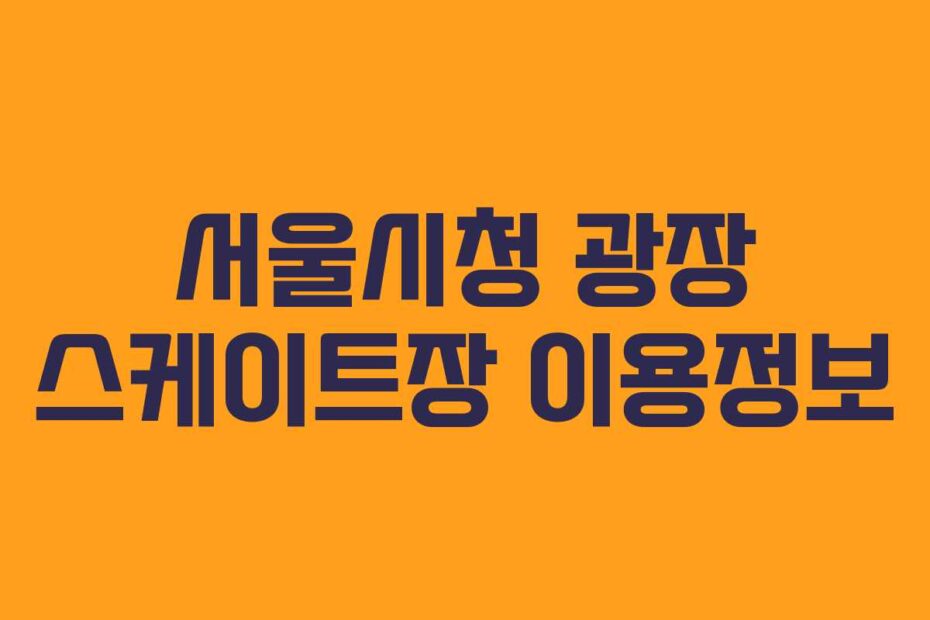 서울시청 광장 스케이트장 이용정보