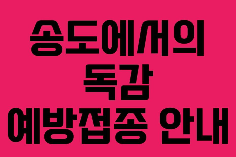 송도에서의 독감 예방접종 안내
