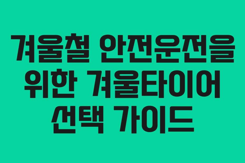 겨울철 안전운전을 위한 겨울타이어 선택 가이드