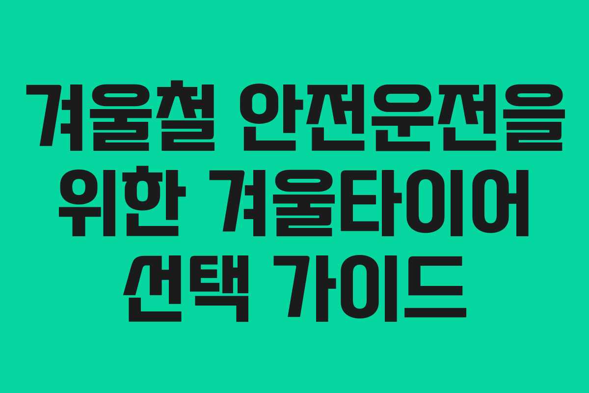 겨울철 안전운전을 위한 겨울타이어 선택 가이드