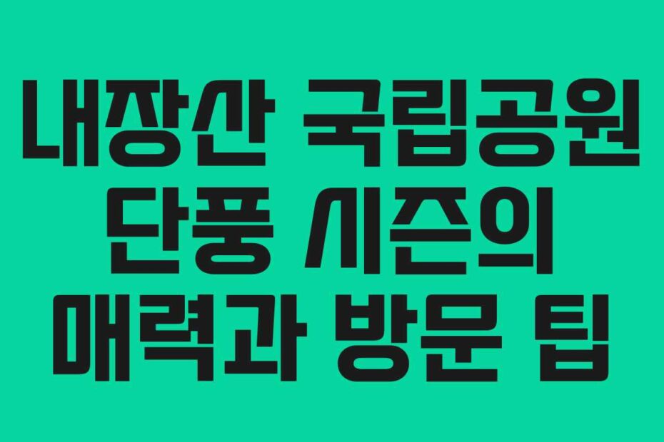 내장산 국립공원 단풍 시즌의 매력과 방문 팁