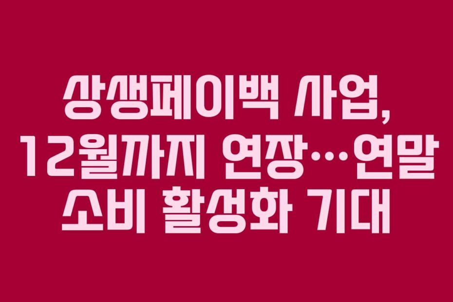 상생페이백 사업, 12월까지 연장…연말 소비 활성화 기대