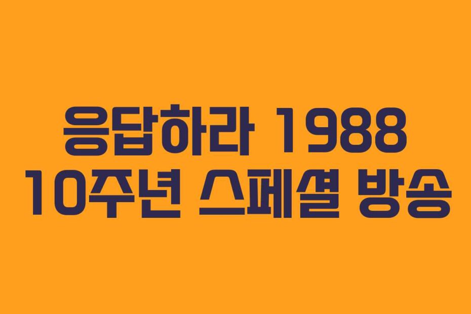 응답하라 1988 10주년 스페셜 방송