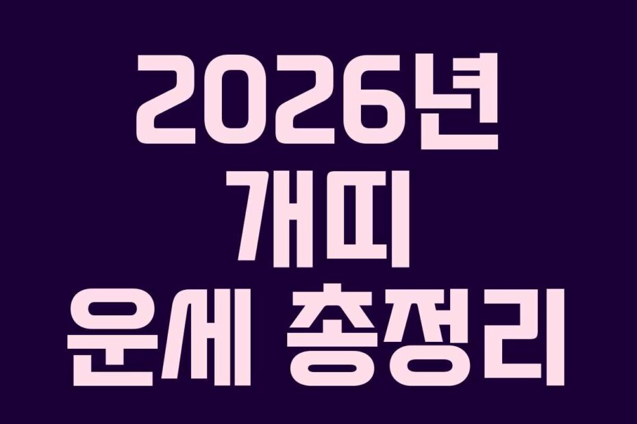 2026년 개띠 운세 총정리