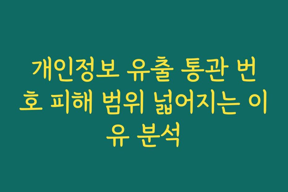 개인정보 유출 통관 번호 피해 범위 넓어지는 이유 분석