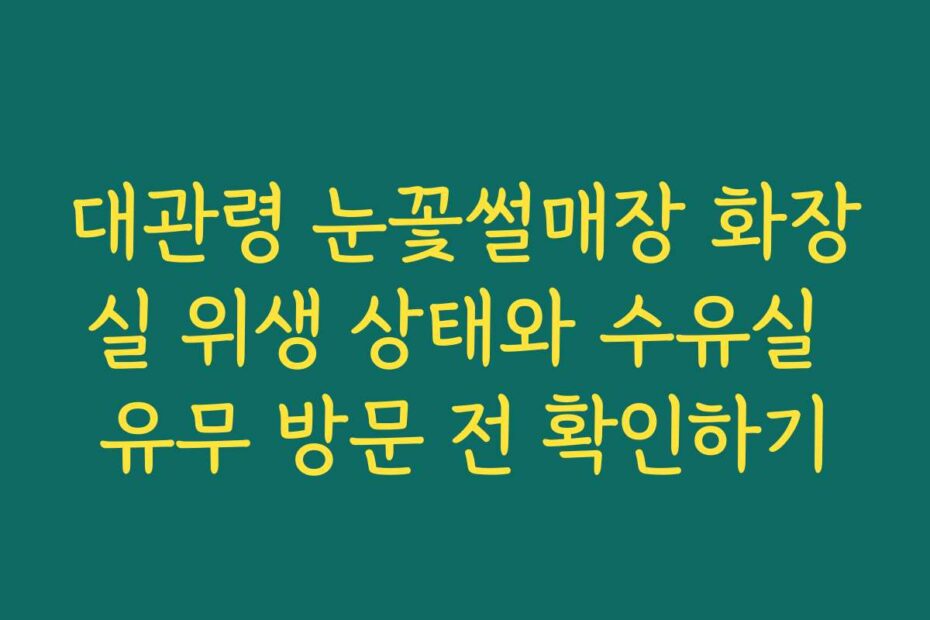 대관령 눈꽃썰매장 화장실 위생 상태와 수유실 유무 방문 전 확인하기