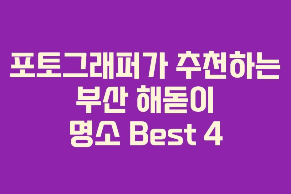 포토그래퍼가 추천하는 부산 해돋이 명소 Best 4