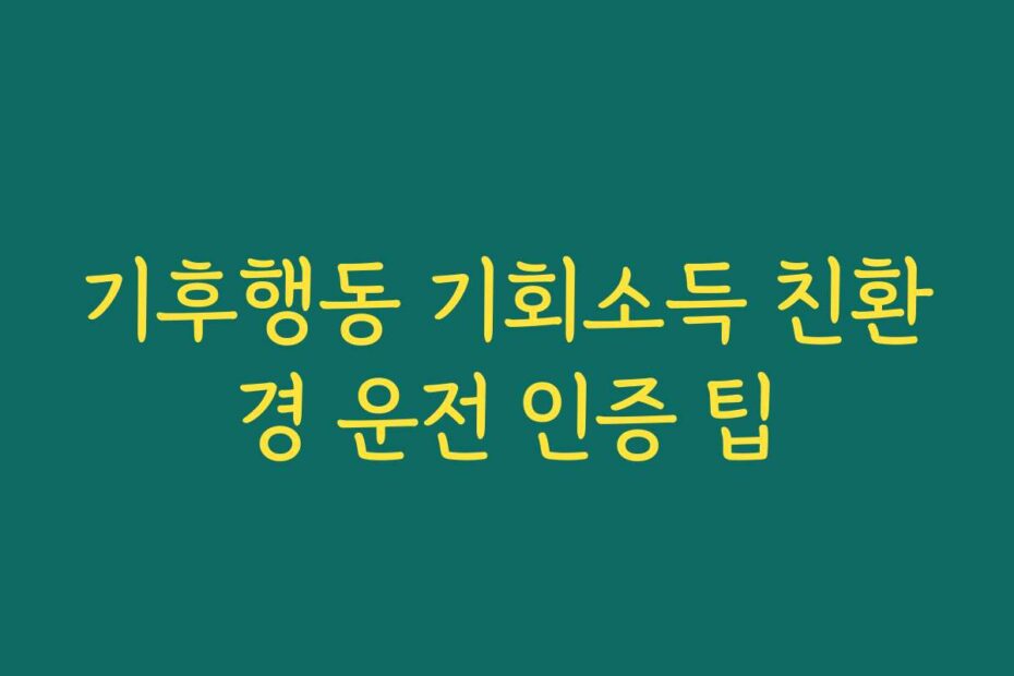 기후행동 기회소득 친환경 운전 인증 팁