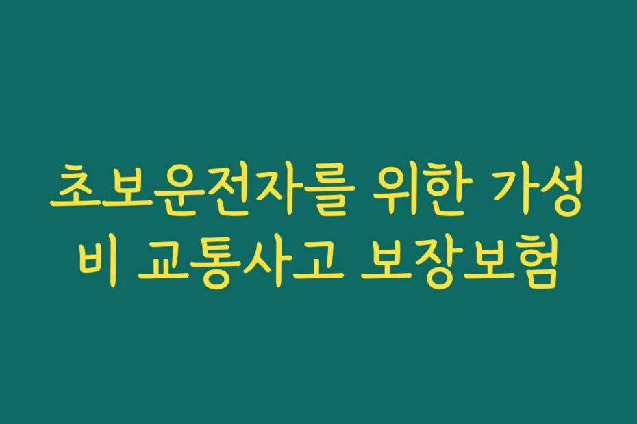 초보운전자를 위한 가성비 교통사고 보장보험