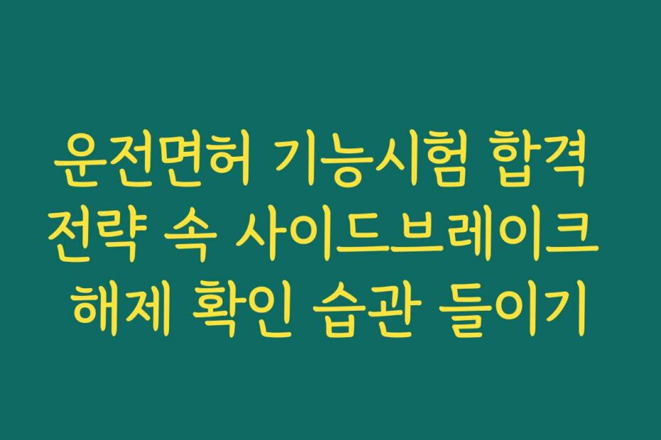 운전면허 기능시험 합격 전략 속 사이드브레이크 해제 확인 습관 들이기