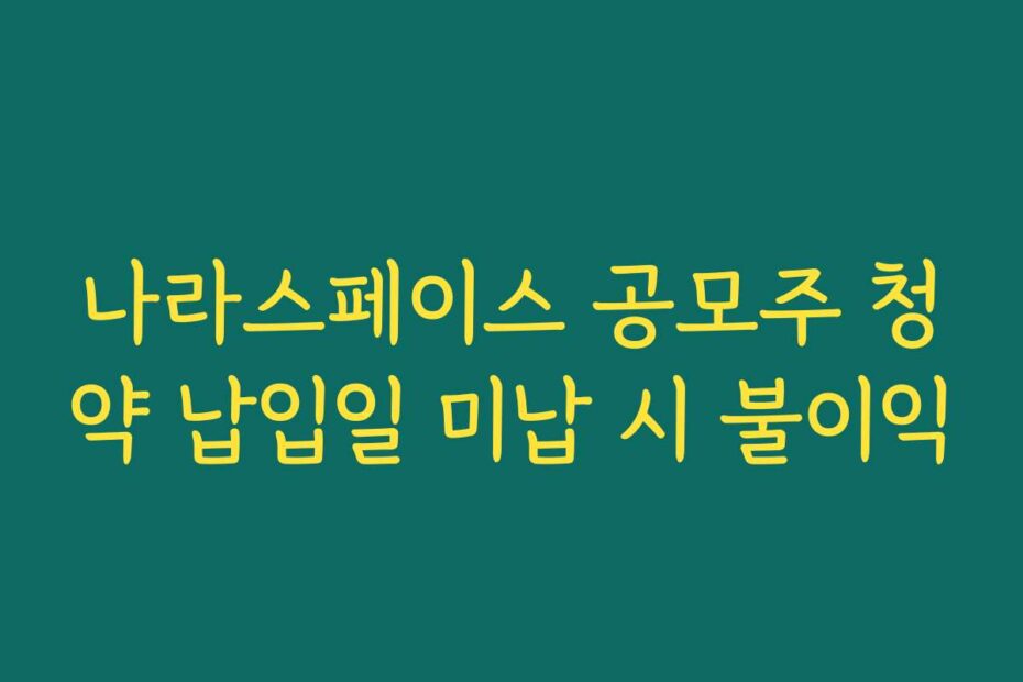 나라스페이스 공모주 청약 납입일 미납 시 불이익