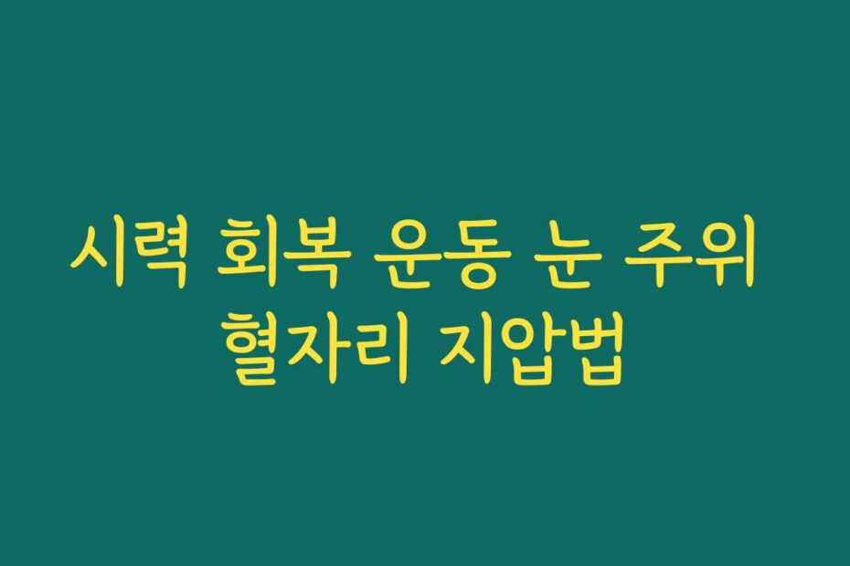 시력 회복 운동 눈 주위 혈자리 지압법
