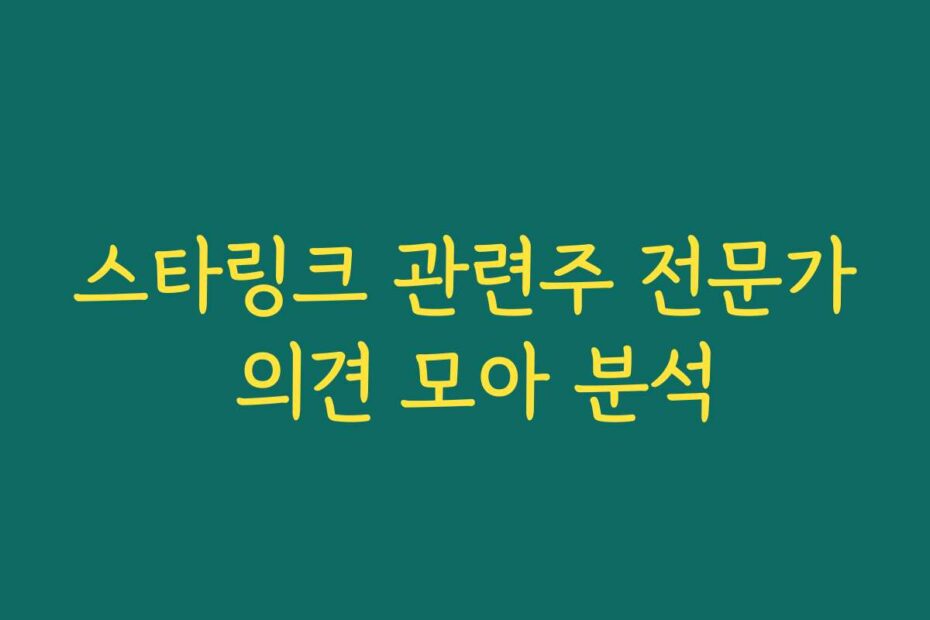 스타링크 관련주 전문가 의견 모아 분석