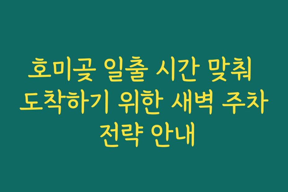 호미곶 일출 시간 맞춰 도착하기 위한 새벽 주차 전략 안내