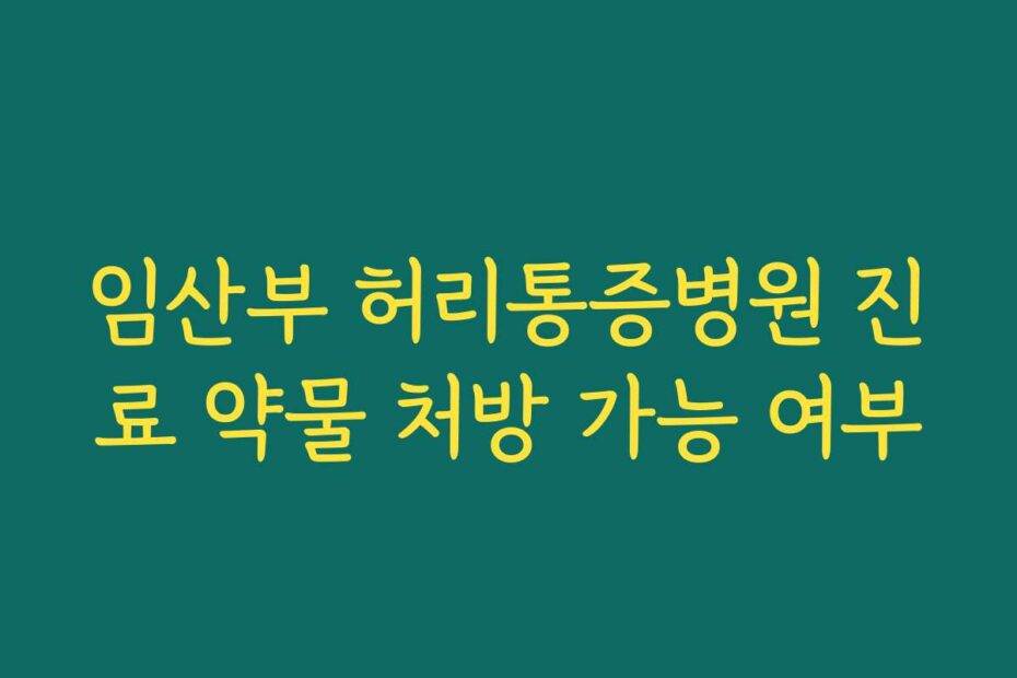 임산부 허리통증병원 진료 약물 처방 가능 여부