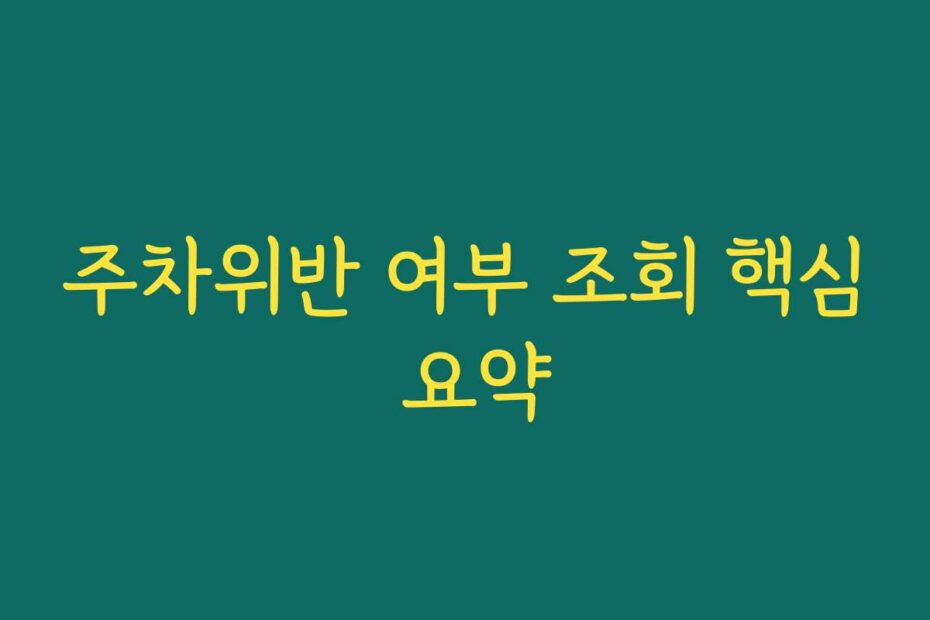 주차위반 여부 조회 핵심 요약