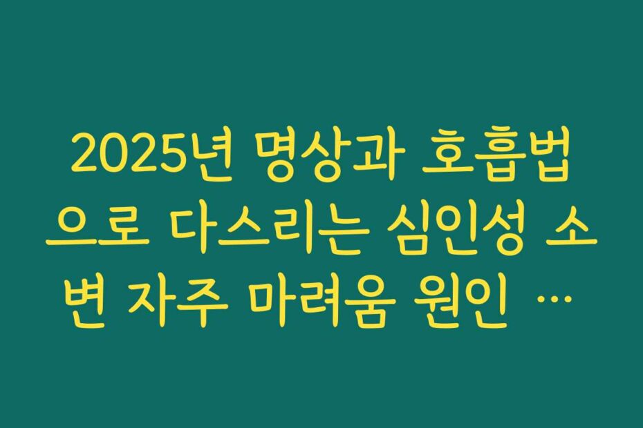2025년 명상과 호흡법으로 다스리는 심인성 소변 자주 마려움 원인 관리