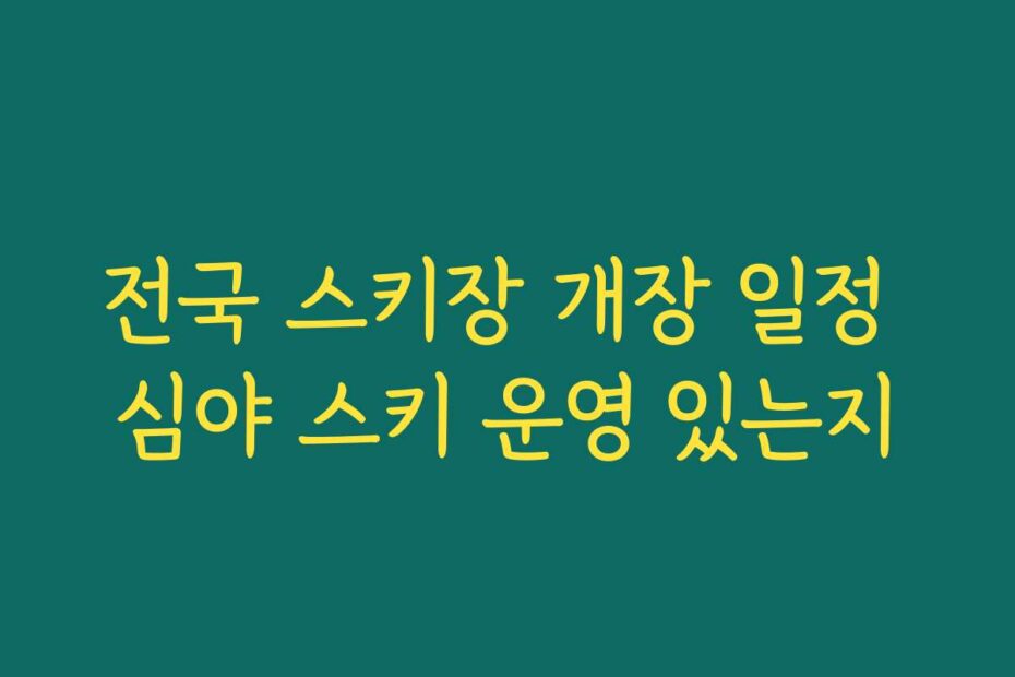 전국 스키장 개장 일정 심야 스키 운영 있는지