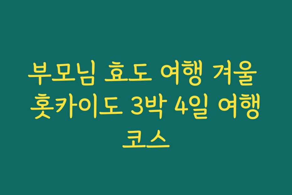 부모님 효도 여행 겨울 홋카이도 3박 4일 여행코스