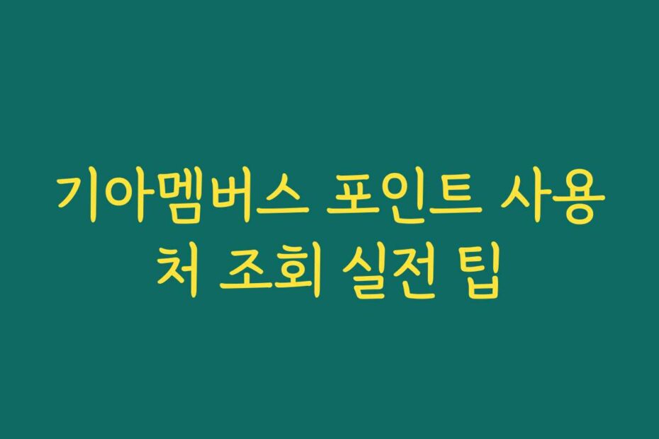 기아멤버스 포인트 사용처 조회 실전 팁