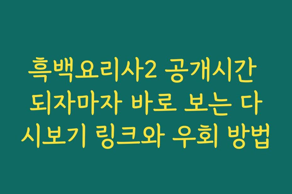 흑백요리사2 공개시간 되자마자 바로 보는 다시보기 링크와 우회 방법