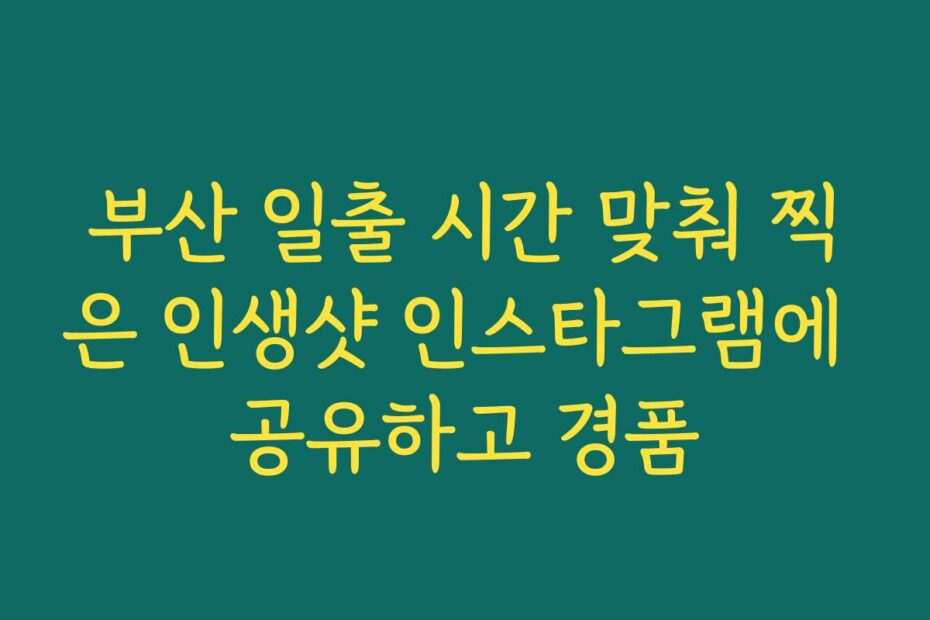 부산 일출 시간 맞춰 찍은 인생샷 인스타그램에 공유하고 경품