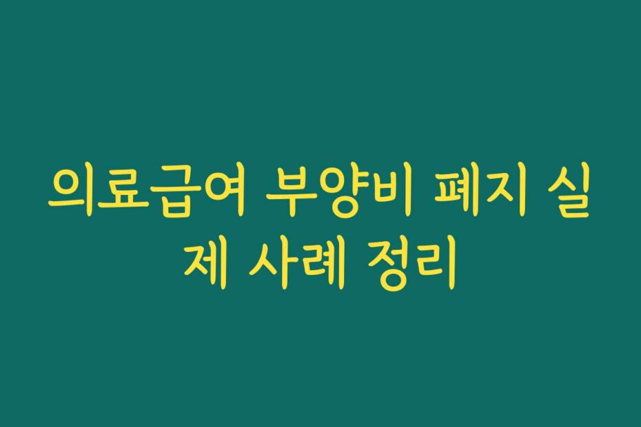 의료급여 부양비 폐지 실제 사례 정리