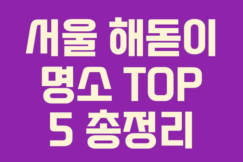 서울 해돋이 명소 TOP 5 총정리
