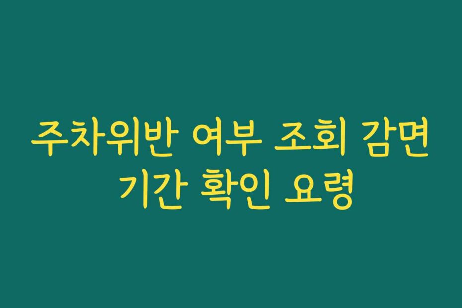 주차위반 여부 조회 감면 기간 확인 요령
