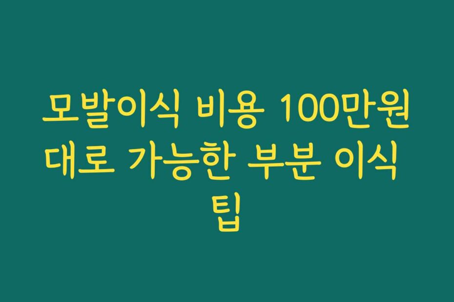 모발이식 비용 100만원대로 가능한 부분 이식 팁