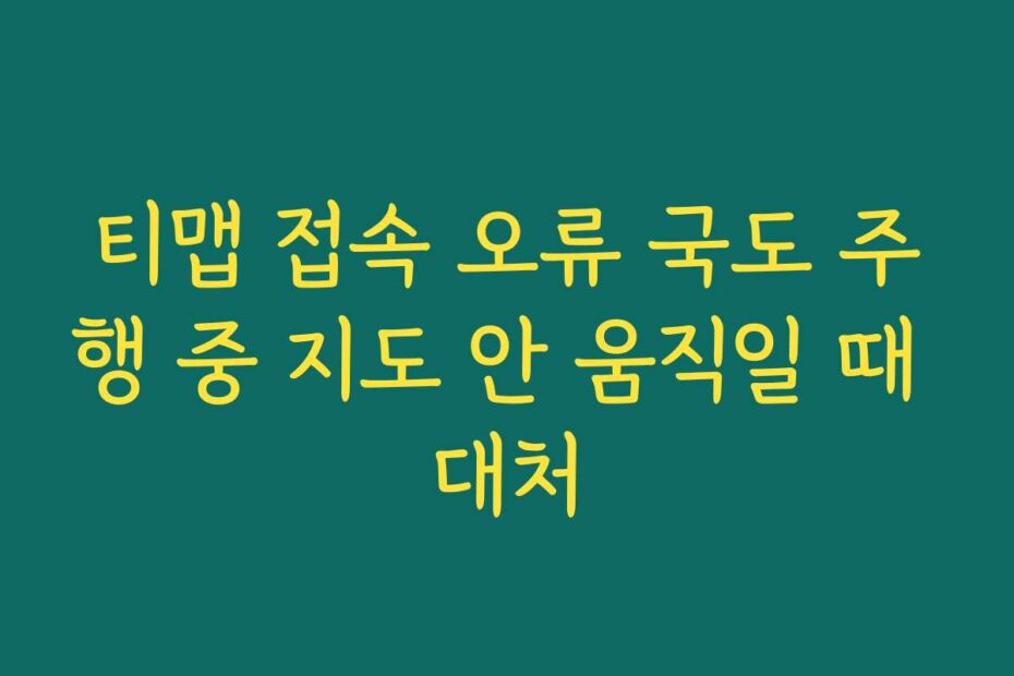 티맵 접속 오류 국도 주행 중 지도 안 움직일 때 대처