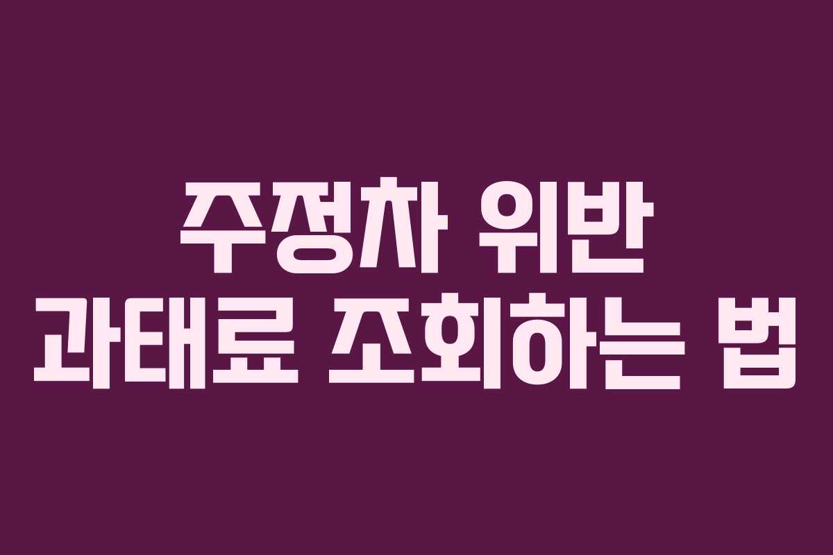 주정차 위반 과태료 조회하는 법