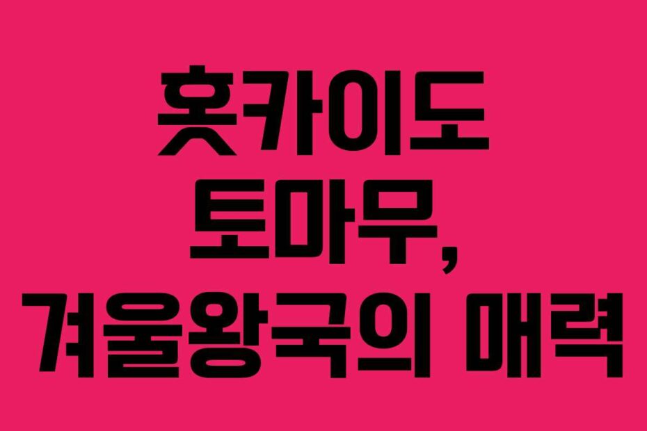 홋카이도 토마무, 겨울왕국의 매력