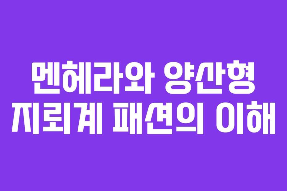멘헤라와 양산형 지뢰계 패션의 이해