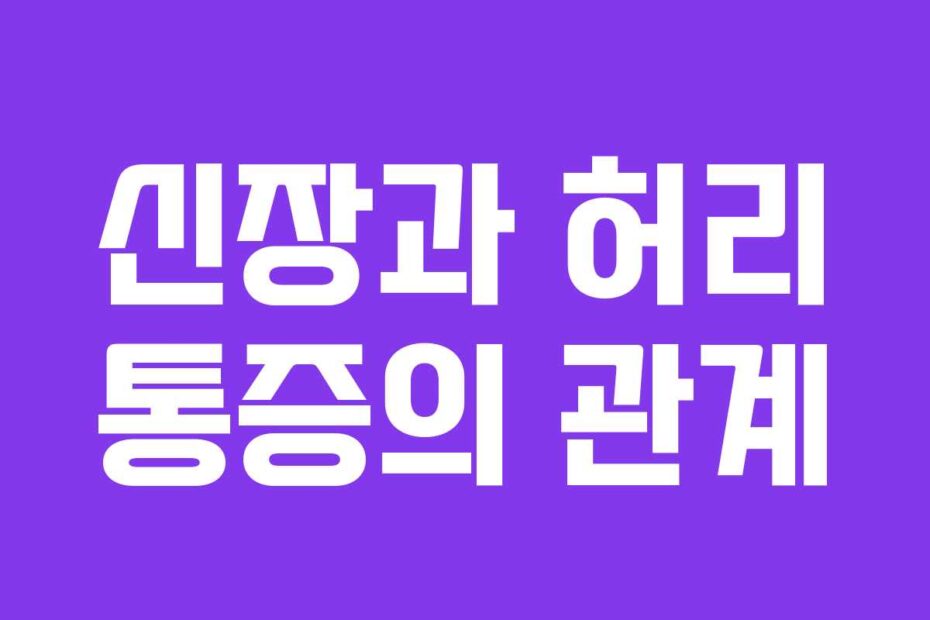 신장과 허리 통증의 관계