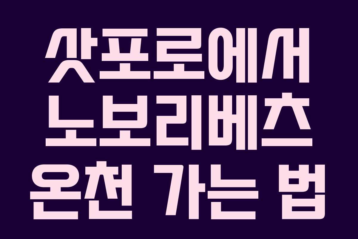 삿포로에서 노보리베츠 온천 가는 법
