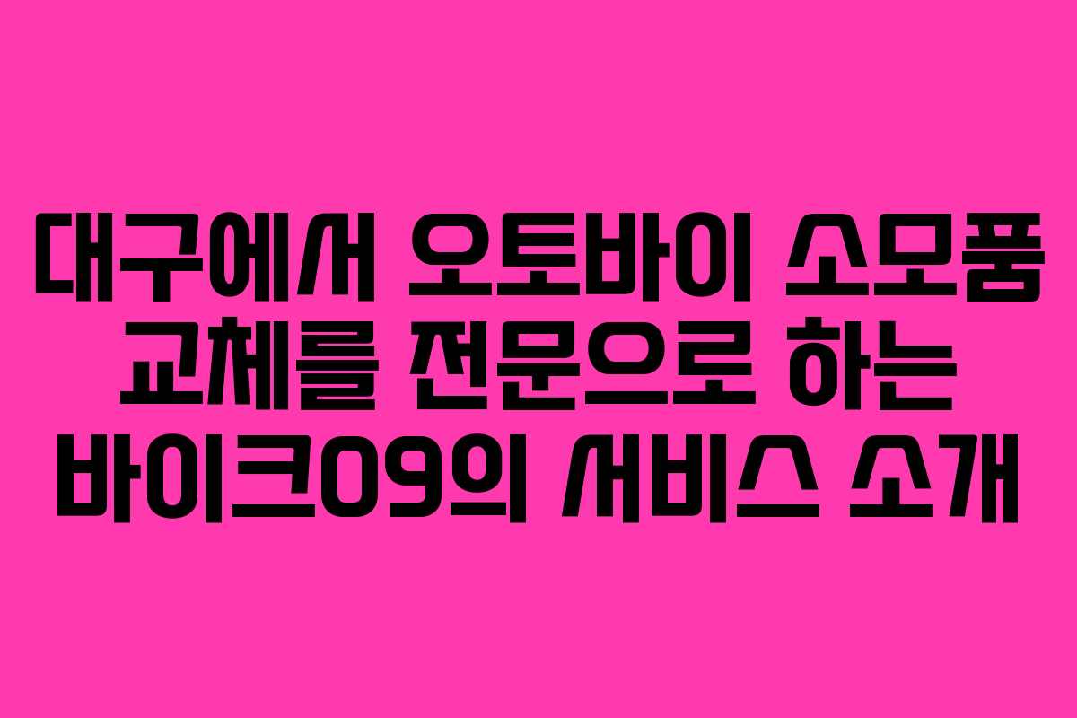 대구에서 오토바이 소모품 교체를 전문으로 하는 바이크09의 서비스 소개