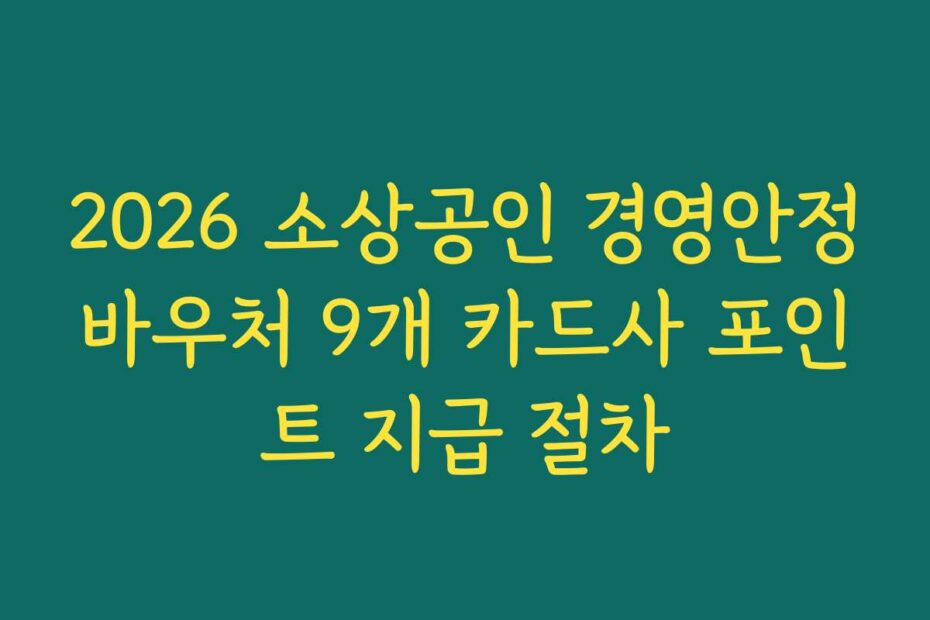 2026 소상공인 경영안정바우처 9개 카드사 포인트 지급 절차