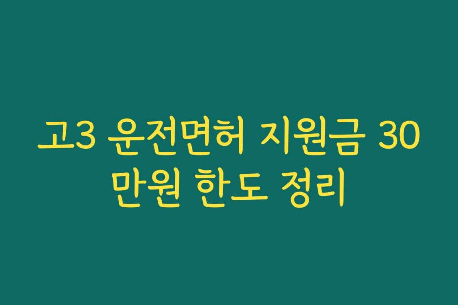 고3 운전면허 지원금 30만원 한도 정리