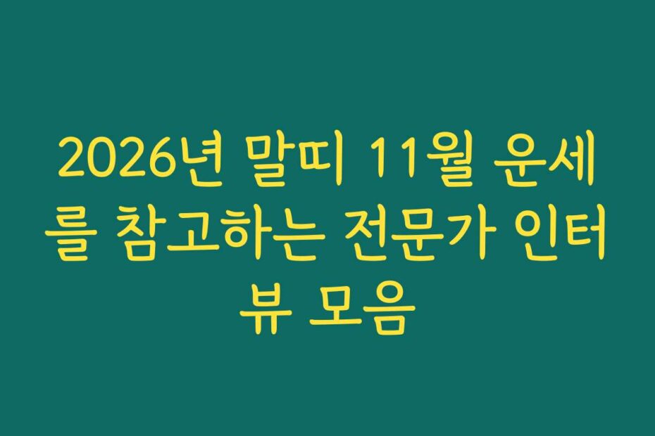 2026년 말띠 11월 운세를 참고하는 전문가 인터뷰 모음