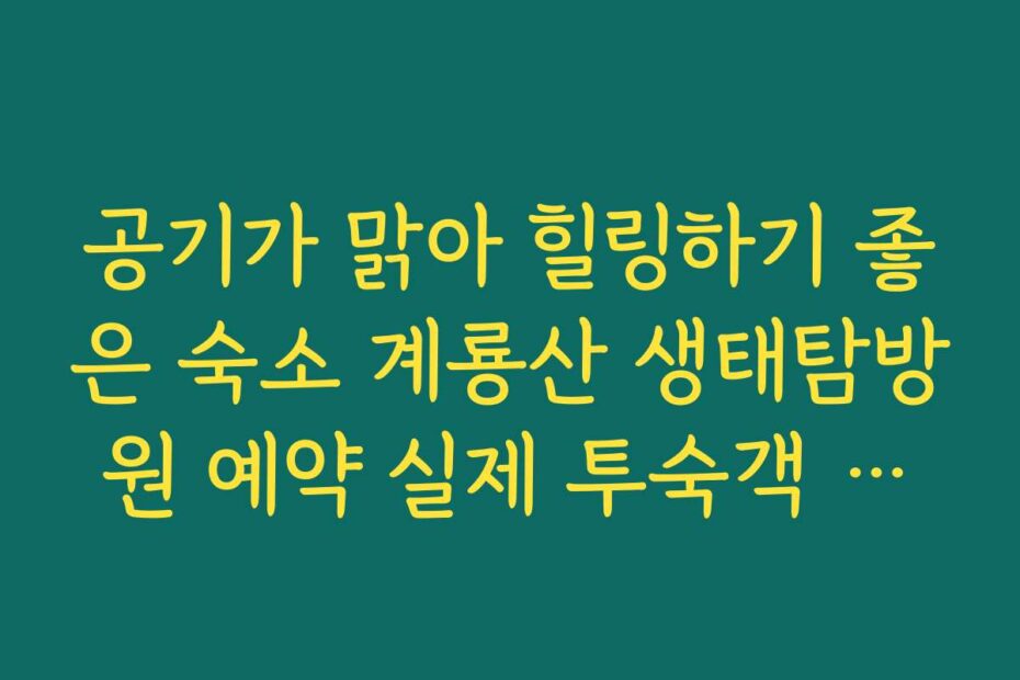 공기가 맑아 힐링하기 좋은 숙소 계룡산 생태탐방원 예약 실제 투숙객 리뷰