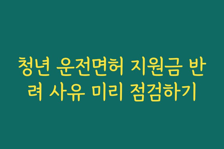 청년 운전면허 지원금 반려 사유 미리 점검하기