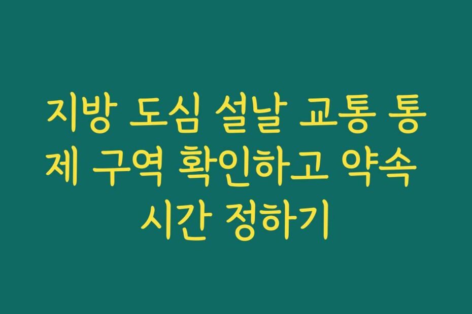 지방 도심 설날 교통 통제 구역 확인하고 약속 시간 정하기