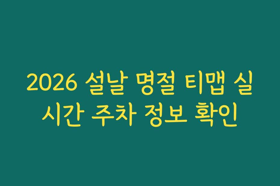 2026 설날 명절 티맵 실시간 주차 정보 확인