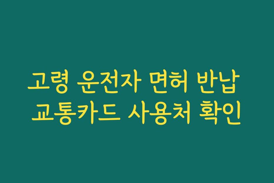 고령 운전자 면허 반납 교통카드 사용처 확인