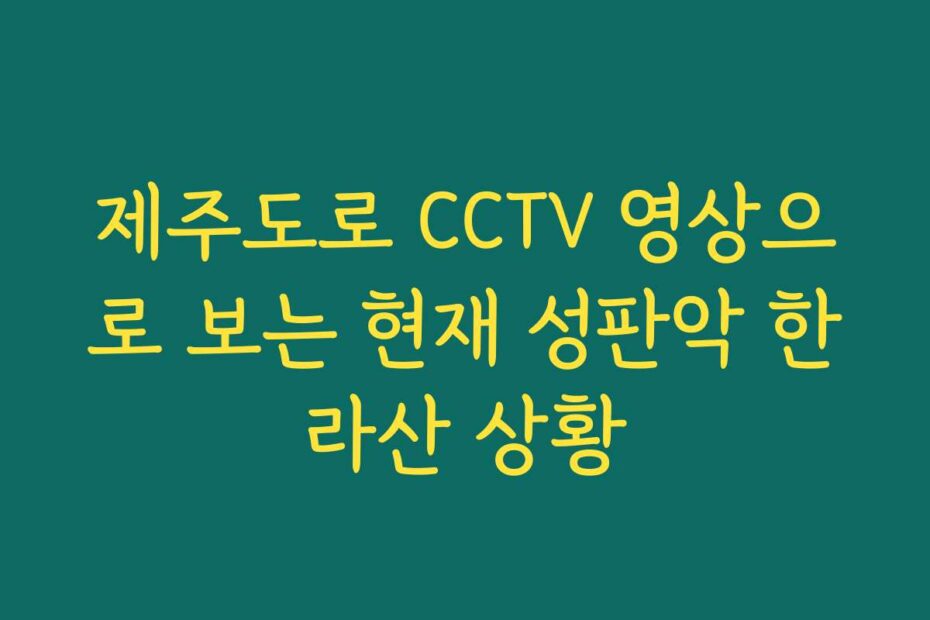 제주도로 CCTV 영상으로 보는 현재 성판악 한라산 상황