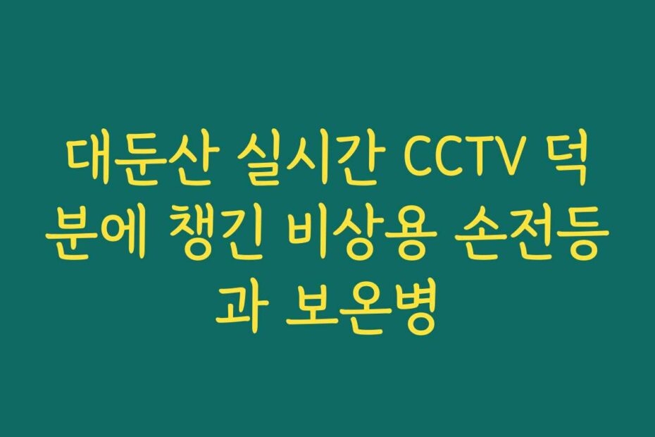 대둔산 실시간 CCTV 덕분에 챙긴 비상용 손전등과 보온병