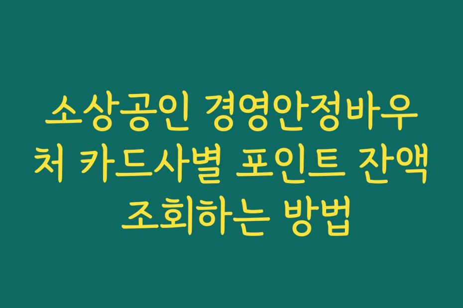 소상공인 경영안정바우처 카드사별 포인트 잔액 조회하는 방법