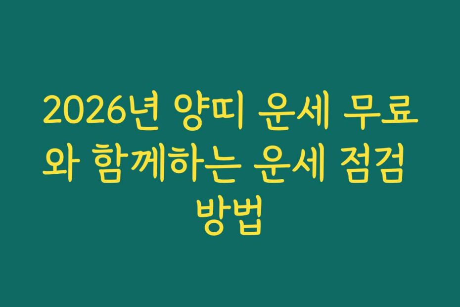 2026년 양띠 운세 무료와 함께하는 운세 점검 방법